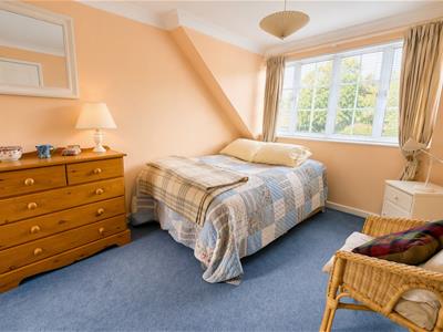 Picture 20
